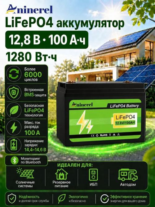 Аккумулятор AninerelLiFePO4, емкость 100Ah, 12.8 В  (1)